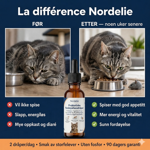 Nordelie™ Pels & Hud Komfortdråper for Katt